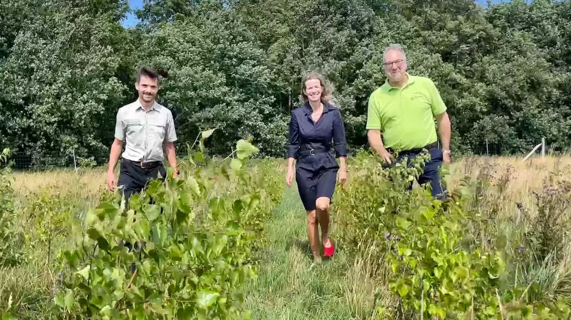 Ein toller Nebeneffekt zur CO2-Speicherung – der Norden bekommt mehr Wälder zum Spazierengehen und Natur genießen: Cornelia La Loggia, Bereichsleiterin Vertrieb Stadtwerke Kiel, präsentiert gemeinsam mit Sebastian Lange-Haffmans (re.) und Jan Meyer-Hamme (li.) durch die neu gepflanzten Bäumchen.
