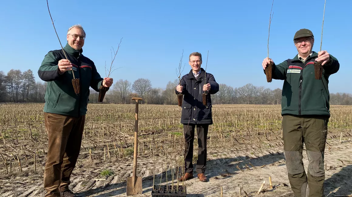 Neue Wälder für Schleswig-Holstein: Frank Meier (mi.), Stadtwerke-Vorstand, Sebastian Lange-Haffmans (li.), SHLF, und Jörn Winter, SHLF, präsentieren Beispiel-Setzlinge, die voraussichtlich ab Herbst in Warder angepflanzt werden.