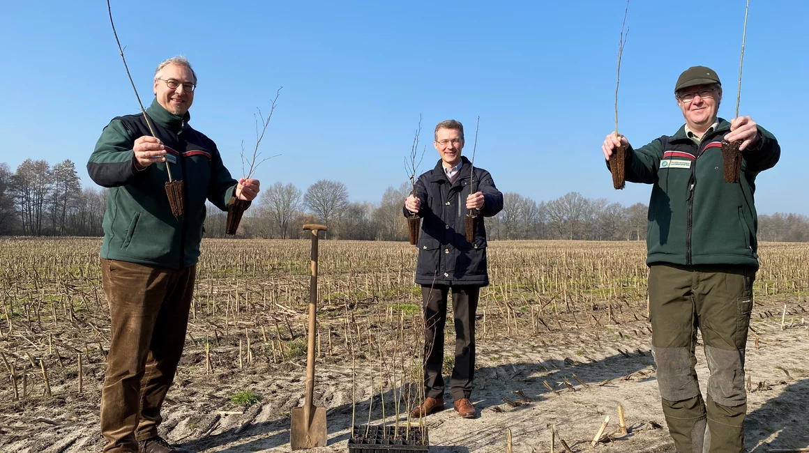 Neue Wälder für Schleswig-Holstein: Frank Meier (mi.), Stadtwerke-Vorstand, Sebastian Lange-Haffmans (li.), SHLF, und Jörn Winter, SHLF, präsentieren Beispiel-Setzlinge, die voraussichtlich ab Herbst in Warder angepflanzt werden.