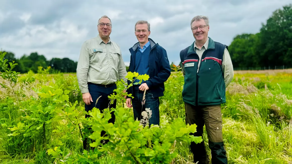 Frank Meier (mi), zieht gemeinsam mit Sebastian Lange-Haffmans (li.) und Jörn Winter von den SHLF eine positive Zwischenbilanz im Rahmen der Neuwaldbildung.