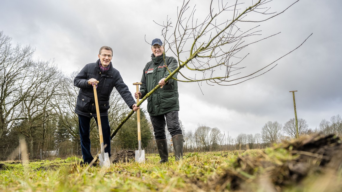 8.000 junge Bäume erweitern den Waldbestand in Schleswig-Holstein ...