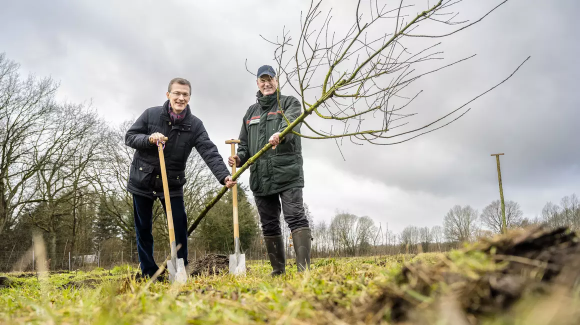 Frank Meier (li), Vorstandsvorsitzender der Stadtwerke Kiel, und Tim Scherer, Direktor der Schleswig-Holsteinischen Landesforsten, pflanzten heute symbolisch den letzten von 8.000 neuen Bäumen.